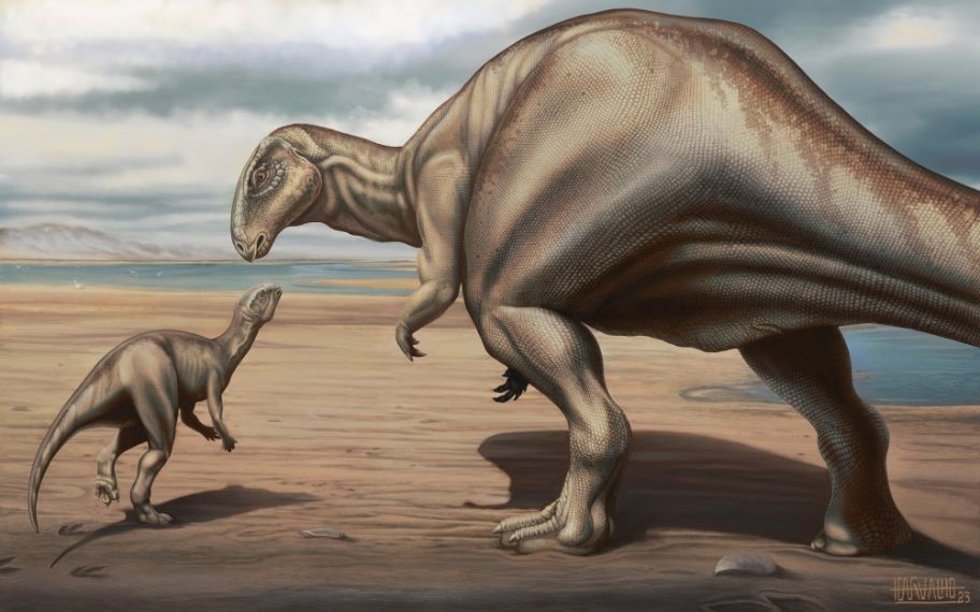 Reconstrucción del aspecto en vida del nuevo dinosaurio iguanodontio