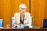 El SAS hizo de 2020 a 2024 cuatro revisiones de contratos por "necesidad imperiosa" y el PSOE habla de sistema "viciado"