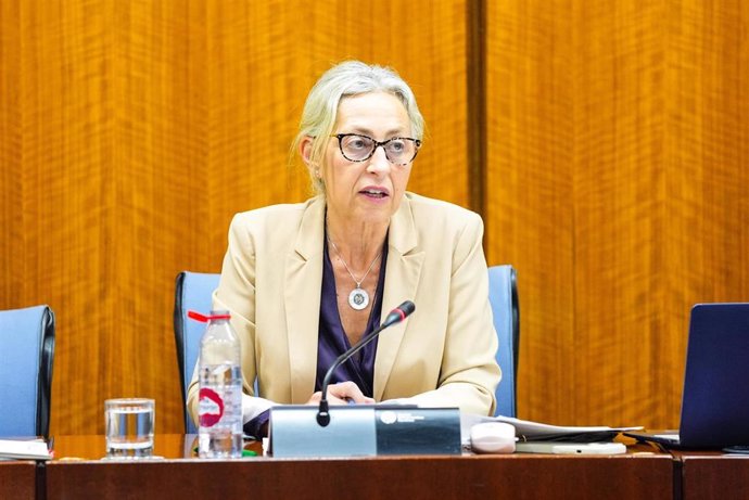 La consejera de Salud y Consumo, Rocío Hernández, en la comisión parlamentaria del 2 de abril de 2025.
