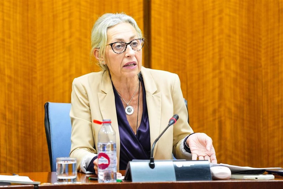 Imagen de la consejera de Salud y Consumo, Rocío Hernández, en comisión del Parlamento de Andalucía.