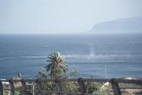 La borrasca Nuria mantiene los avisos en 10 provincias, rojo en La Palma por rachas de viento de más de 130 km/h