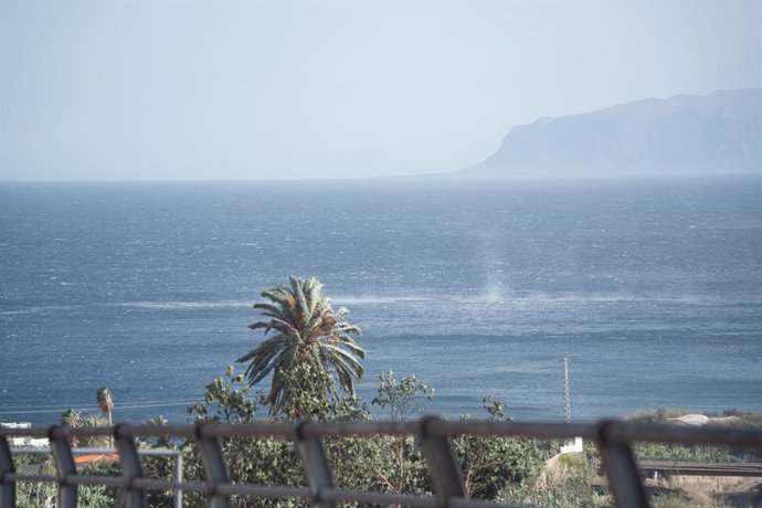Archivo - Palmeras dobladas por el viento, a 16 de diciembre de 2024, en La Gomera, Canarias (España). Canarias continúa hoy en aviso por fuertes rachas de viento que podrían llegar a ser huracanadas y superar los 120 kilómetros por hora en las islas occi