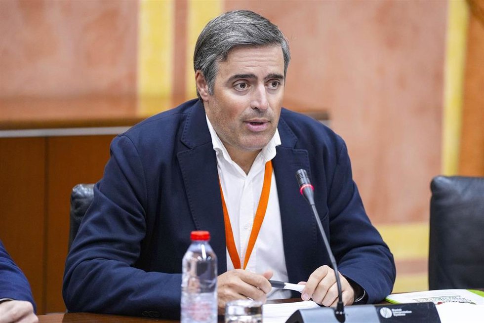 Archivo - El secretario general de la Unión de Pequeños Agricultores de Andalucía (UPA) comparece en el Parlamento andaluz en una imagen de archivo