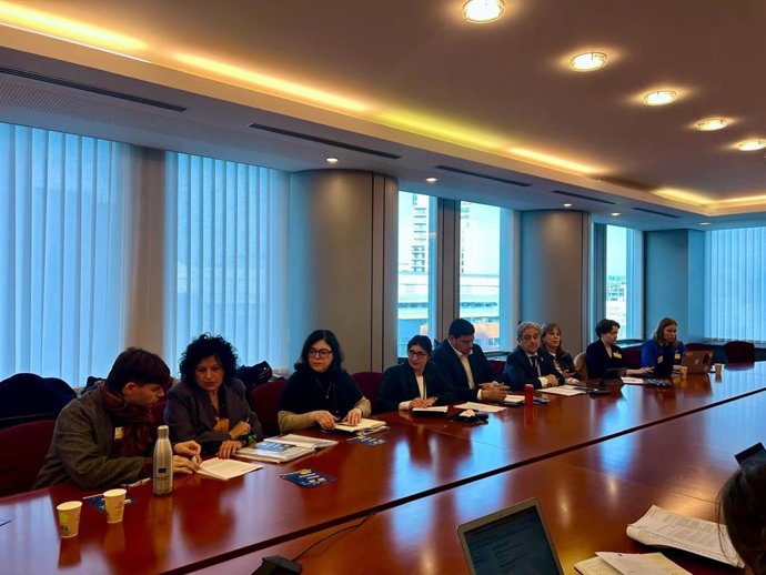 La directora general de Relaciones Institucionales y de Relaciones con el Parlament, Francisca Ramis, en Bruselas