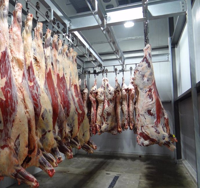 Amacyl alerta de pérdidas millonarias en mataderos de CyL con la reducción del horario de trabajo de los veterinarios.