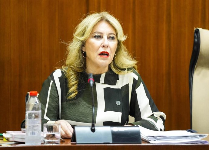 La consejera de Economía, Carolina España, este jueves durante su comparecencia parlamentaria en comisión.