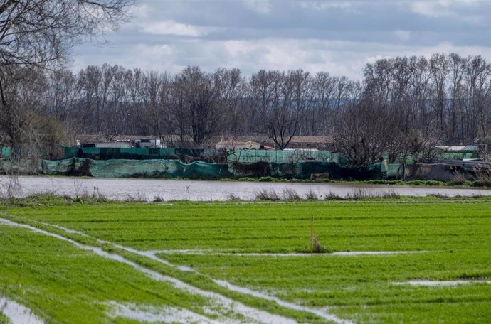 Vías verdes y caminos naturales afectados por el desbordamiento del Río Jarama en las lluvias de marzo