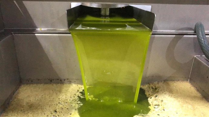 Archivo - Aceite almazara