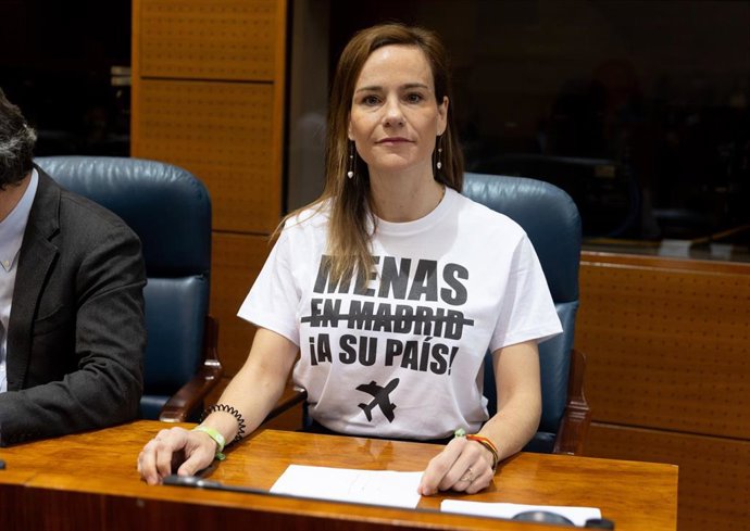 La portavoz de VOX en la Asamblea de Madrid, Isabel Pérez Moñino-Aranda, durante un pleno en la Asamblea de Madrid, a 3 de abril de 2025, en Madrid (España).