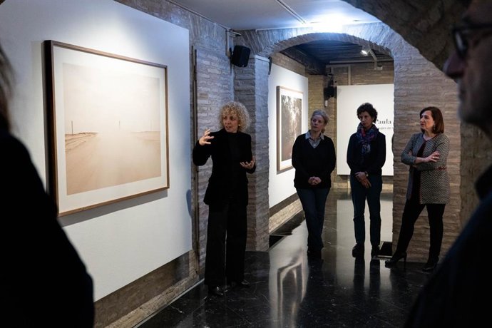La conexión entre la naturaleza y lo artificial, protagoniza la exposición de Paula Anta en el Torreón Fortea
