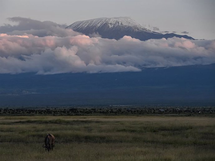 Archivo - Fotografía del monte Kilimanjaro desde el Parque Nacional de Amboseli, en Kenia (archivo)