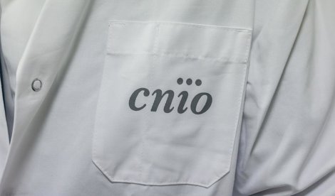 Investigación