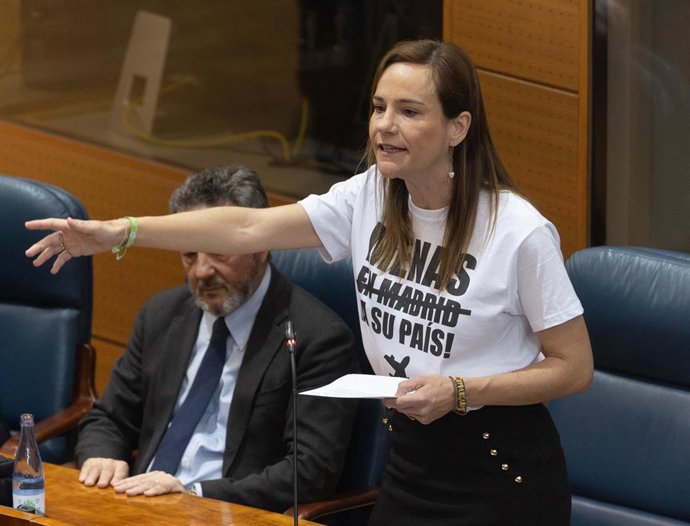 La portavoz de VOX en la Asamblea de Madrid, Isabel Pérez Moñino-Aranda, interviene durante un pleno en la Asamblea de Madrid, a 3 de abril de 2025