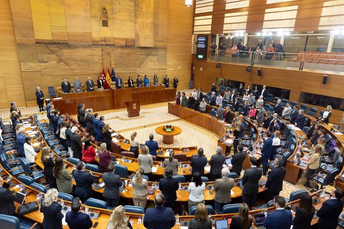 Pleno en la Asamblea de Madrid, a 3 de abril de 2025, en Madrid (España).