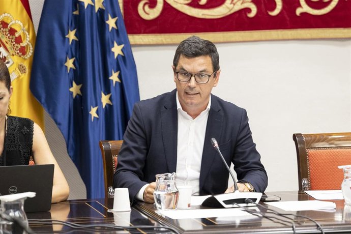 Archivo - El consejero de Obras Públicas, Transportes y Vivienda del Gobierno de Canarias, Pablo Rodríguez, en comisión parlamentaria