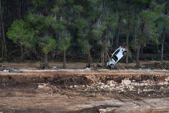 Archivo - Arxiu - Un cotxe entre dos arbres, a 7 de novembre del 2024, a Xest, València, després del pas de la dana.