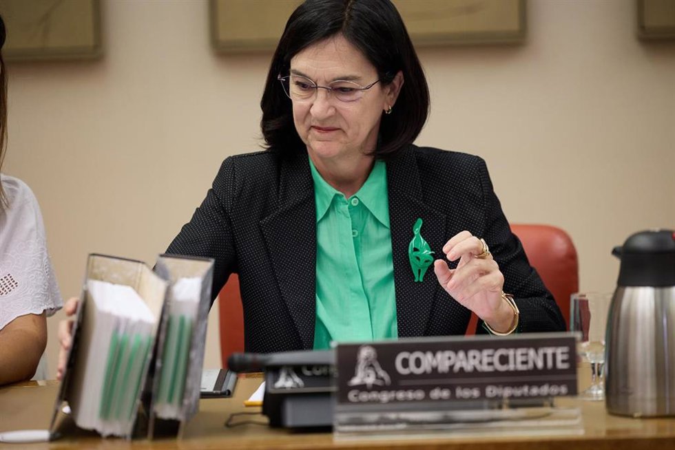 Archivo - La presidenta de la Comisión Nacional de los Mercados y Competencia (CNMC), Cani Fernández, comparece en la Comisión de Economía, Comercio y Transformación Digital, en el Congreso de los Diputados, a 19 de septiembre de 2024, en Madrid (España