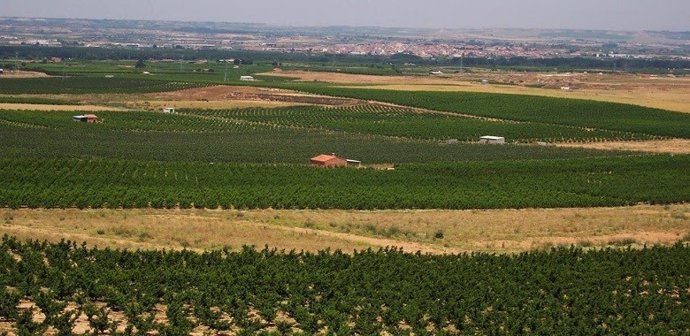 Archivo - Terrenos agrícolas en Catalunya