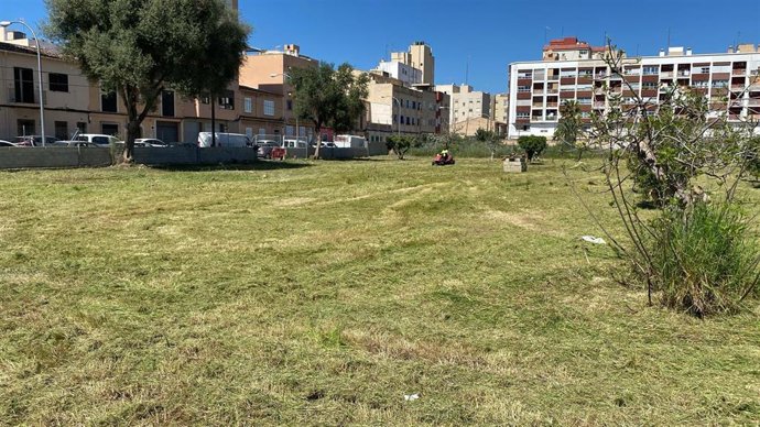 Solar de Son Canals desbrozado para ubicar un nuevo parque canino.