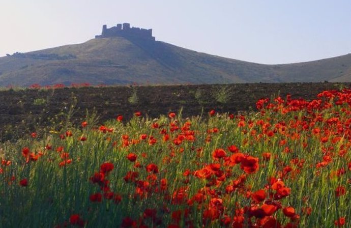 Archivo - Castillo Almonacid de Toledo