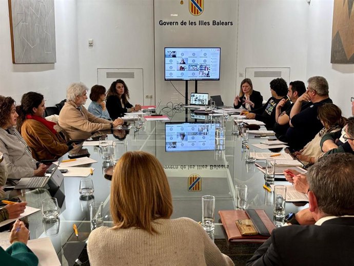 Segunda reunión del grupo de trabajo sobre seguridad y accesibilidad en el transporte público.