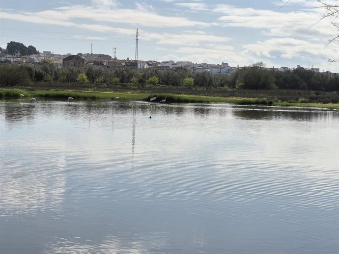 Laguna Fuente de Piedra