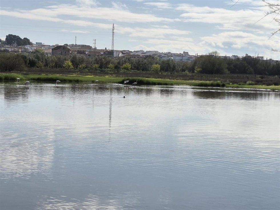 Laguna Fuente de Piedra