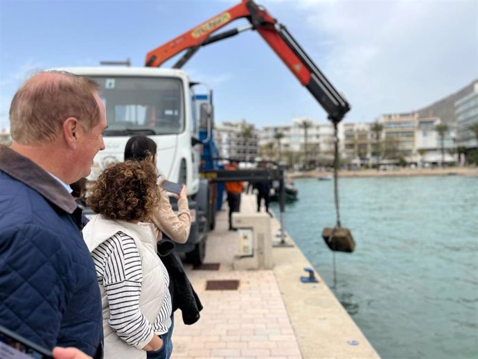 Retirados cerca de 30 metros cúbicos de residuos del fondo marino de la bahía de Pollença en una acción conjunta entre PortsIB y el Ayuntamiento