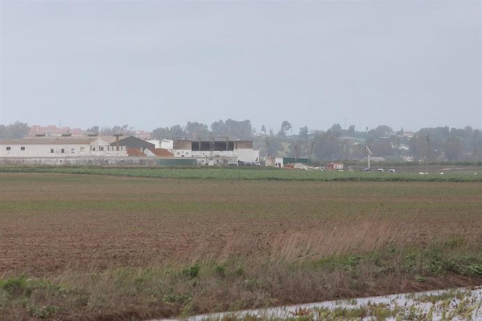 Vista exterior de la nave agrícola derrumbada en una finca de Coria.