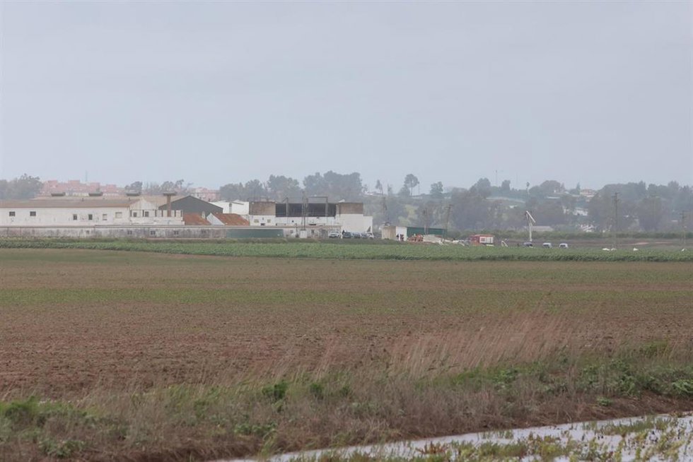 Vista exterior de la nave agrícola derrumbada en una finca de Coria.