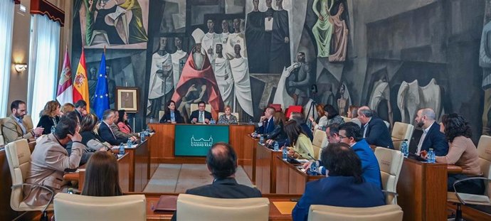 Pleno en la Diputación de Ciudad Real.
