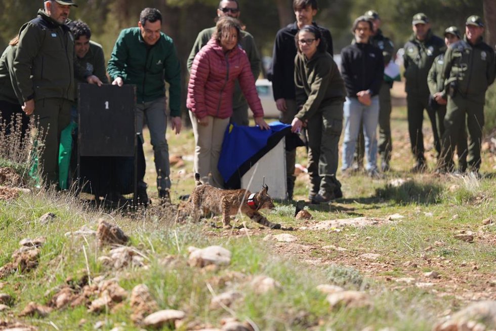 El presidente de la Junta, Juanma Moreno, y la consejera de Sostenibilidad y Medio Ambiente, Catalina García, en el acto de suelta de linces en Sierra Arana