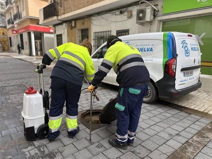 Campaña municipal de desinsectación de Huelva.