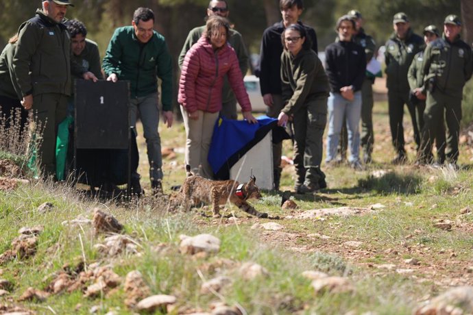 O Presidente da Junta de Andalucía, Juanma Moreno, e a Ministra Regional de Sustentabilidade e Meio Ambiente, Catalina García, na cerimônia de libertação do lince em Sierra Arana.