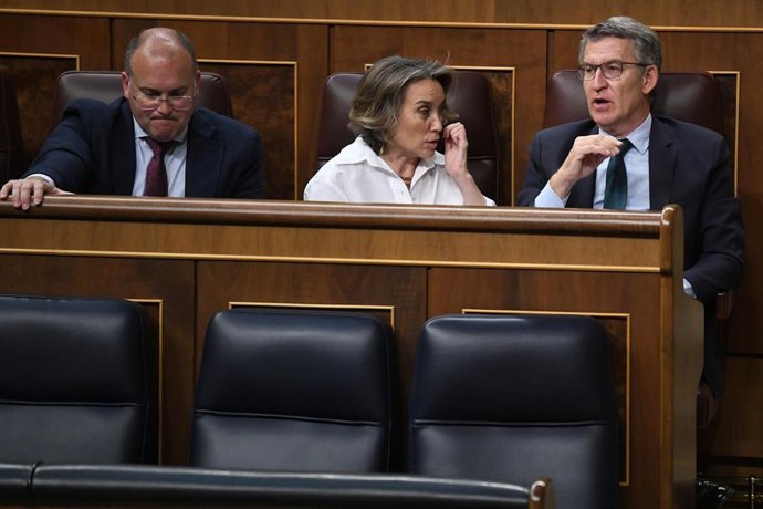 Archivo - Los dirigentes del PP Miguel Tellad, Cuca Gamarra y eAlberto Núñez Feijóo, en una sesión plenaria  en el Congreso