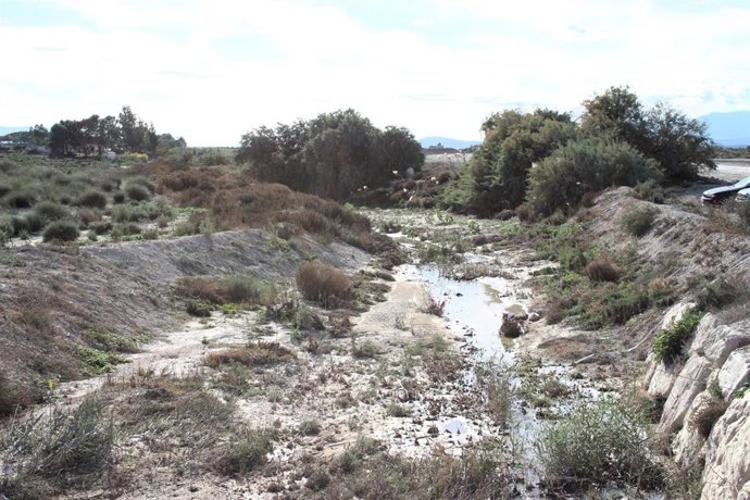 Cañada de Mendoza, en Molina de Segura