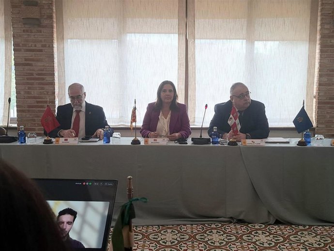 La consellera de Salud del Govern balear, Manuela García, en la reunión del Consejo Interterritorial del Sistema de Salud