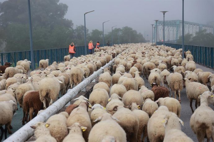 Vídeo de la noticia