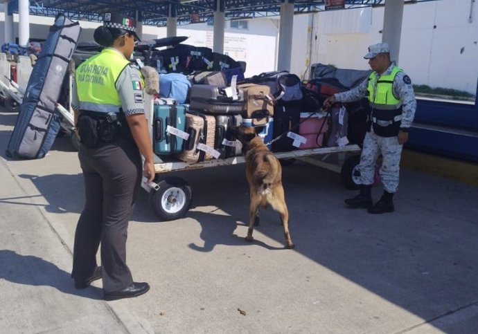 Archivo - Agentes de la Guardia Nacional de México durante un registro de maletas (archivo)