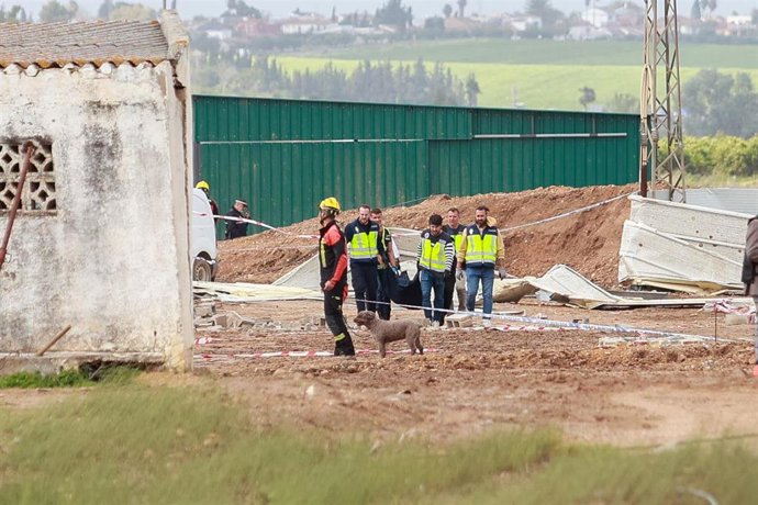 Traslado de uno de los fallecidos en el derrumbe de una nave agrícola en la cual tres trabajadores han perdido la vida