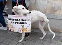 PP-A pide el jueves que el Parlamento que Gobierno central aborde con veterinarios el asunto de los medicamentos
