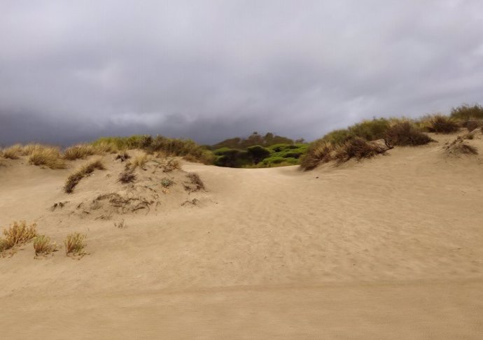 Parte del sistema dunar de la playa de Urbasur, en Isla Cristina (Huelva).