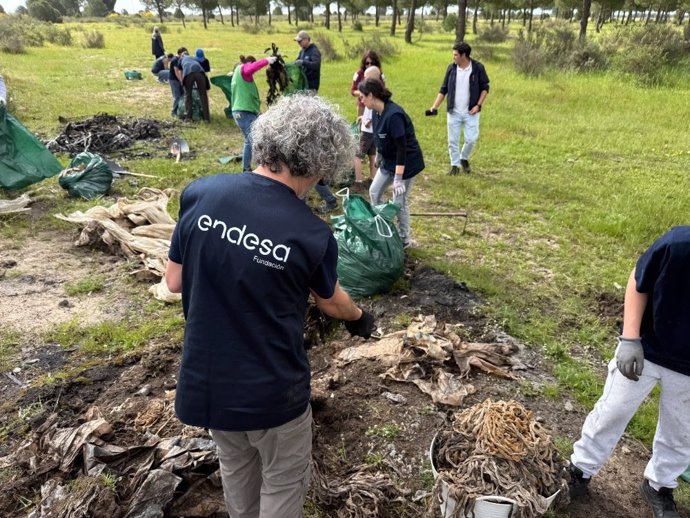 Voluntarios de Endesa limpiando el Parque Nacional de Doñana.