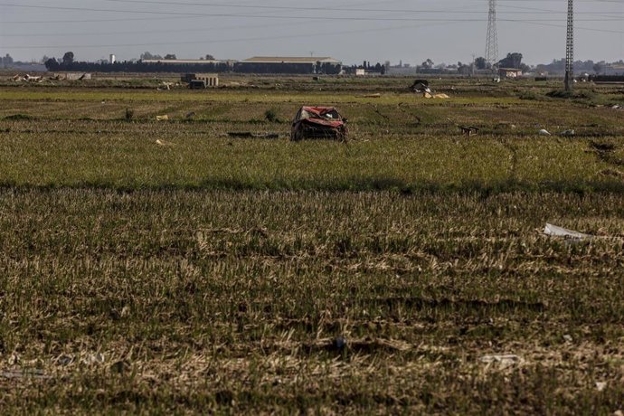 Archivo - Restos de la DANA en un campo de arrozales en las inmediaciones de la Albufera, 