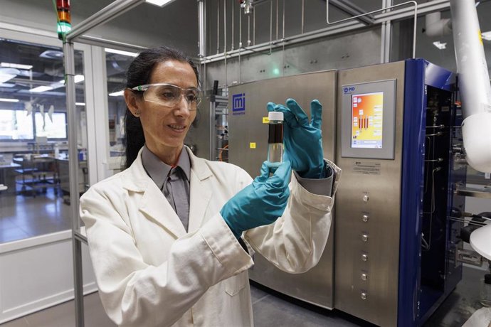 Archivo - Moeve Ha Lanzado La Primera Convocatoria De Su Programa De Startups Moeve Light Up