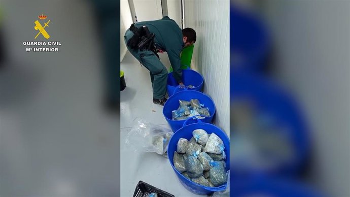 Un agente de la Guardia civil con los camarones intervenidos en Sanlúcar.