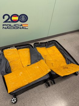 Paquetes de heroína localizados en el doble fondo de una maleta en la Estació del Nord de Barcelona