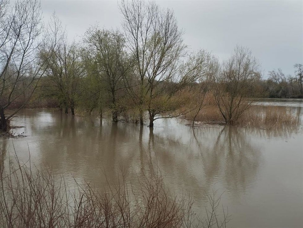 El Tajo a su paso por Talavera de la Reina, el pasado 11 de marzo de 2025.
