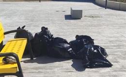 Actuaciones de limpieza en el vial ciclista y peatonal entre La Salobreja y el Olivo Arena.