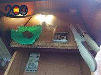 Desmantelado un punto de venta de sustancias estupefacientes en Cartagena (Murcia)